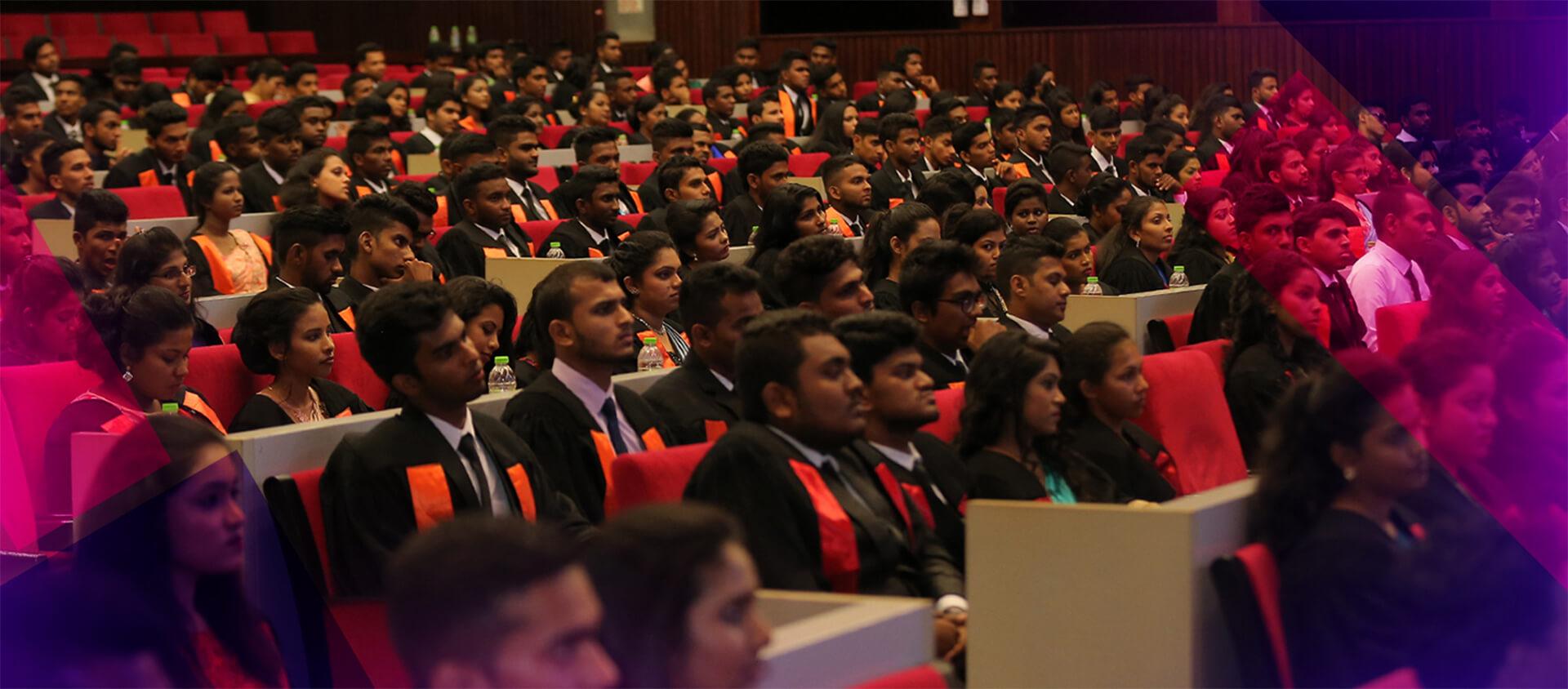 Populer Programmes - BritishCampus